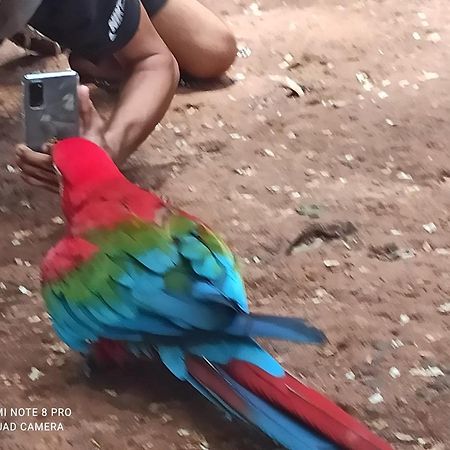 Casas Bom Sono Hotel Foz do Iguaçu Kültér fotó